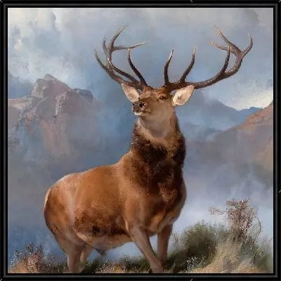 Монарх Глен 