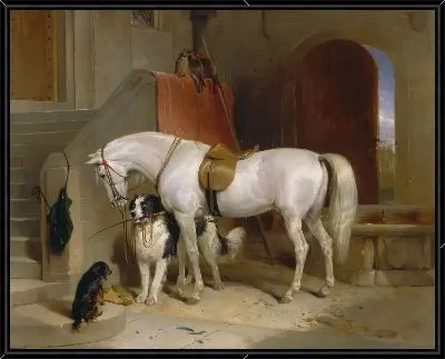 Избранное, собственность H.R.H. Принц Джордж из Кембриджа 