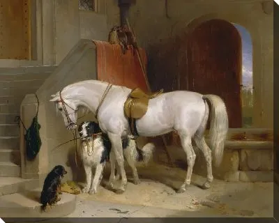 Избранное, собственность H.R.H. Принц Джордж из Кембриджа 