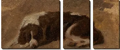 Картина Спаниель лежа 