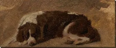 Картина Спаниель лежа 