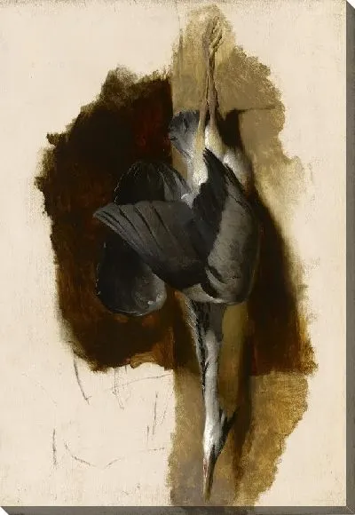 Картина Изучение мертвой цапли 