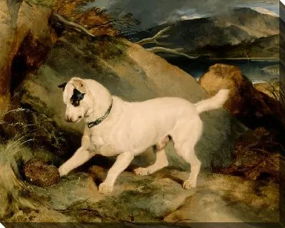 Картина Портрет терьера, Собственность Оуэна Уильямса 