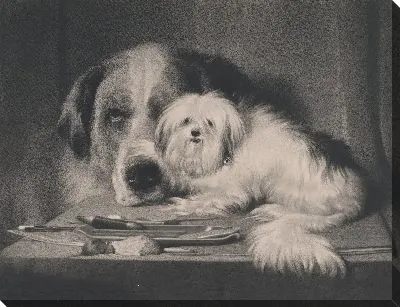 Картина Собака-лев Мальты - последний из его племени 