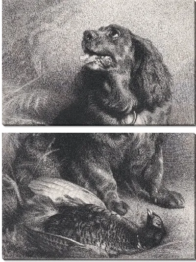 Картина Спаниель и фазан 