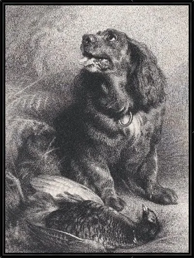 Картина Спаниель и фазан 