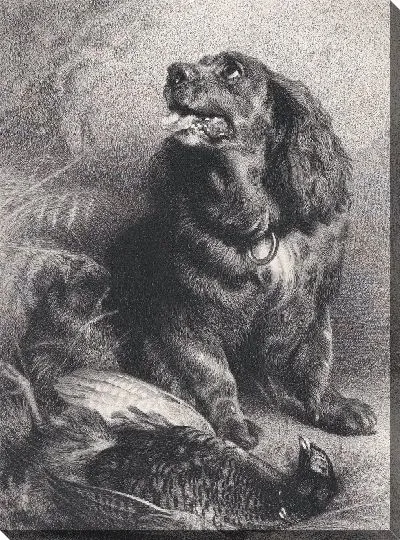 Картина Спаниель и фазан 