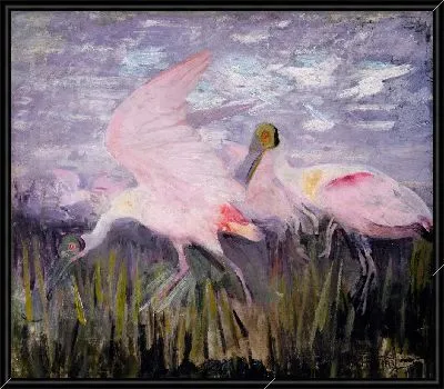 Картина Розовые ложечки, исследование для книги, скрывающей окраску в животном царстве