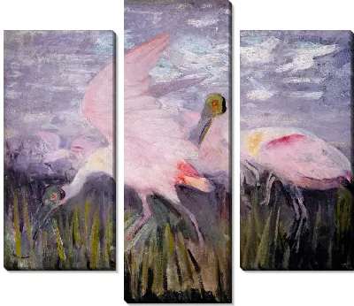 Розовые ложечки, исследование для книги, скрывающей окраску в животном царстве