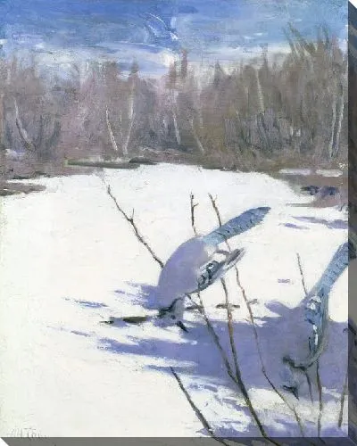 Картина Голубые сойки зимой, учеба для книги, скрывающей окраску в животном царстве