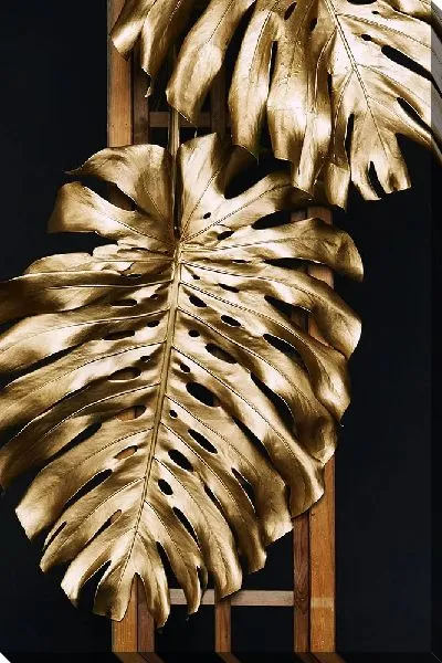 Постер Золотые листья пальмы монстеры