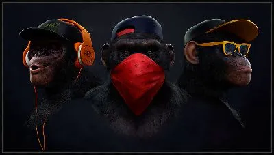 Три обезьяны в наушниках и очках