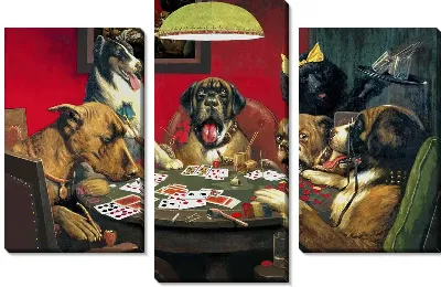 Картина Судья Сен-Бернард выигрывает на блефе