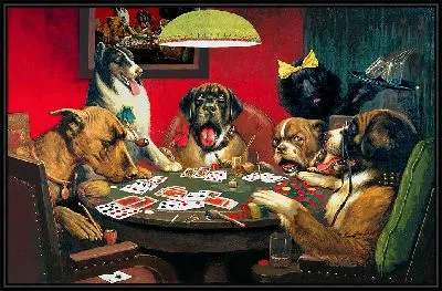 Судья Сен-Бернард выигрывает на блефе