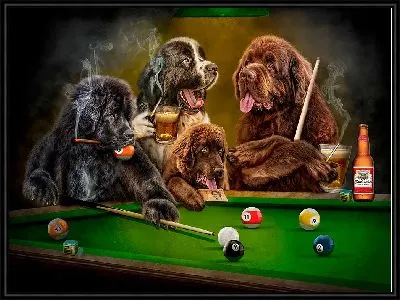 Картина Собаки за игрой в настольный бильярд