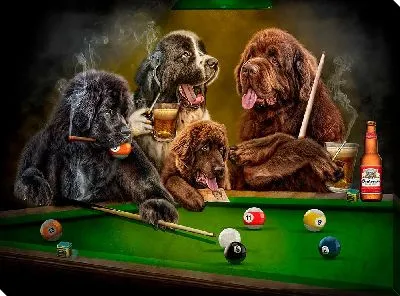 Собаки за игрой в настольный бильярд