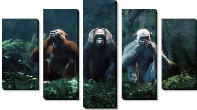 Три обезьяны в лесу