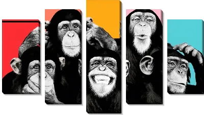 Модульная картина 3+2 обезьяны на полосатом фоне