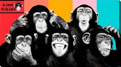 Постер 3+2 обезьяны на полосатом фоне