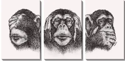 Модульная картина Гравюра с тремя обезьянами