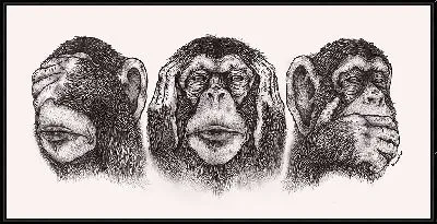 Картина Гравюра с тремя обезьянами