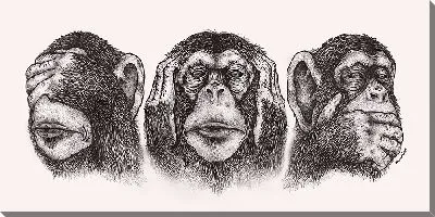 Постер Гравюра с тремя обезьянами