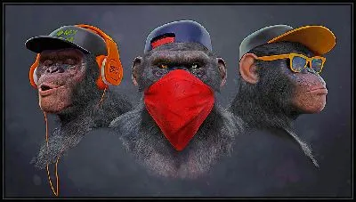 Три обезьяны в наушниках и очках светлый вариант