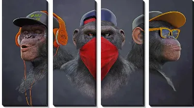 Три обезьяны в наушниках и очках светлый вариант