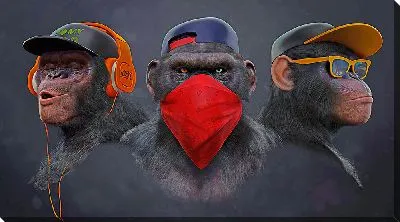 Три обезьяны в наушниках и очках светлый вариант