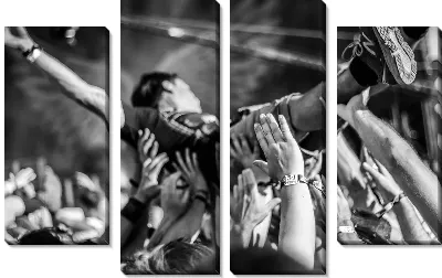 Модульная картина Живая волна на рок концерте