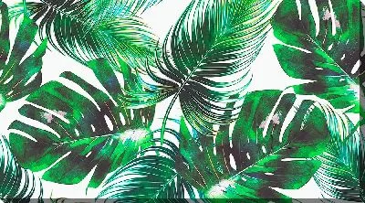 Картина маслом Растения Монстера