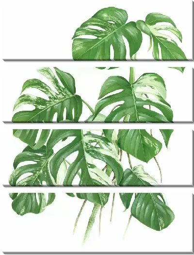 Модульная картина Листья растения монстера