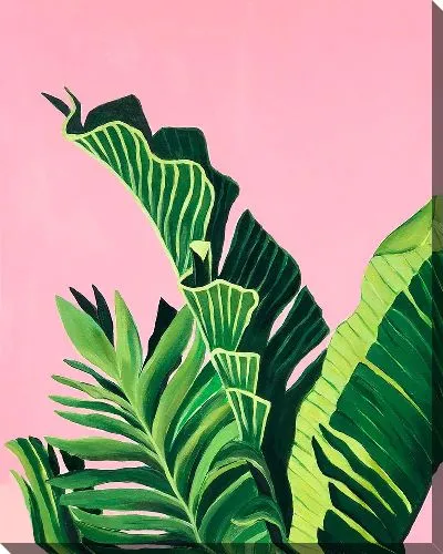 Постер Листья различных пальм