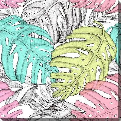 Картина маслом Рисунок монстера