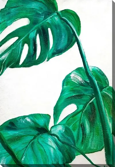 Картина маслом Три листа монстеры