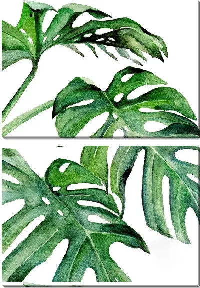 Модульная картина Красивые листья монстеры