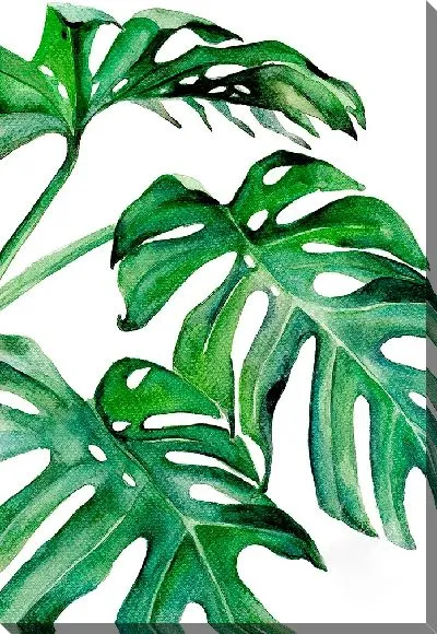 Картина маслом Красивые листья монстеры