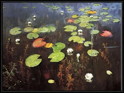 Лилии. Ненюфары