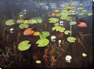 Лилии. Ненюфары