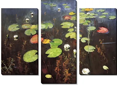 Лилии. Ненюфары