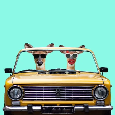 шаблон id 99