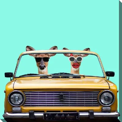 Постер Путешествие животных в авто