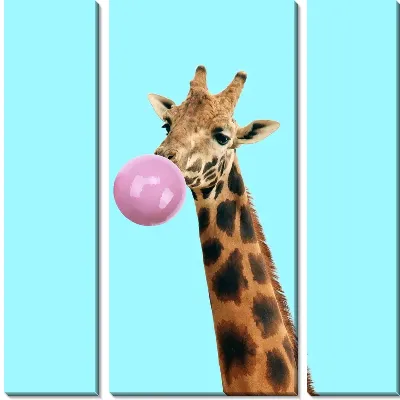 Модульная картина Жираф жует жвачку