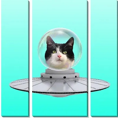 Модульная картина Кот в летающей тарелке