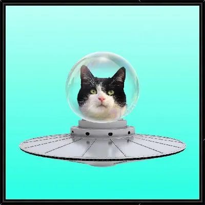 Кот в летающей тарелке