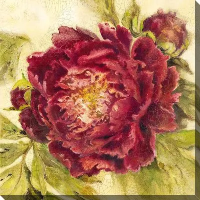 Картина маслом Бутон красного пиона