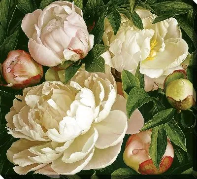 Картина маслом Композиция с пионами