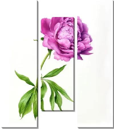 Модульная картина Сиреневый пион