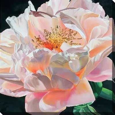 Картина маслом Бело-розовый бутон пиона