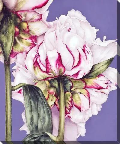 Картина маслом Пион на сиреневом фоне